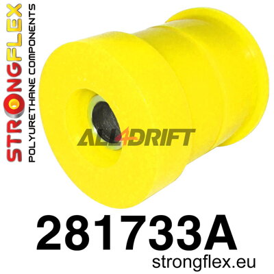 281733A Boccole SPORT Assale Posteriore Infiniti / Nissan